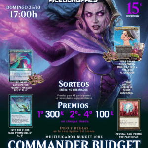 Inscripción COMMANDER BUDGET Octubre